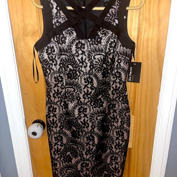 Size 4 NWT light pink with black lace sheath dress - Picture 4 of 4